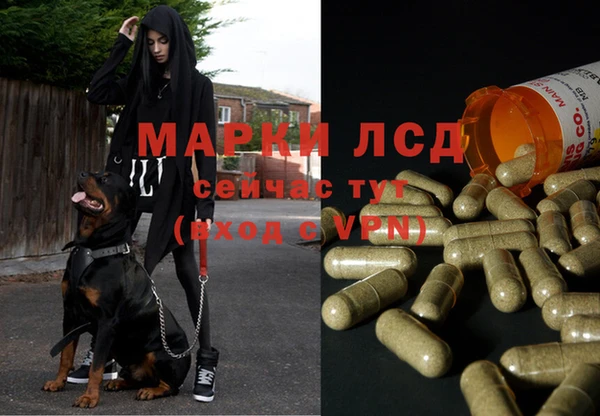 спиды Лиски
