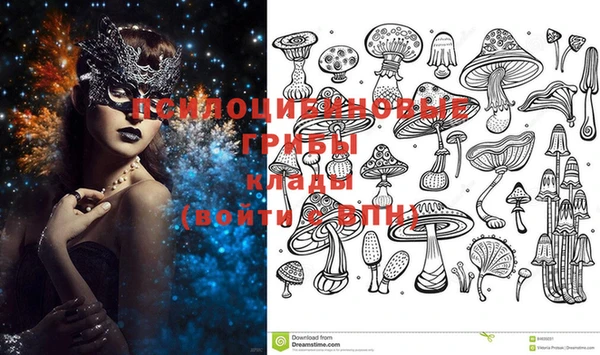 марки lsd Липки