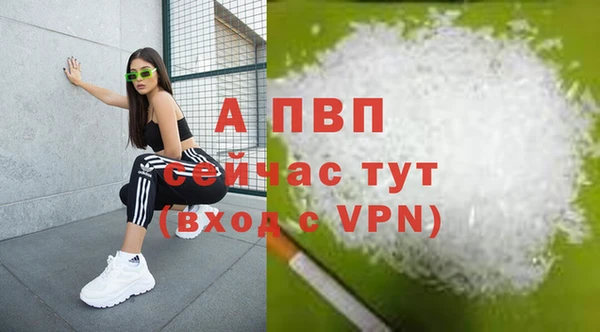 спиды Лиски