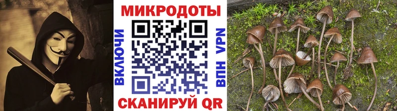 Галлюциногенные грибы Psilocybine cubensis  закладка  hydra   Керчь 